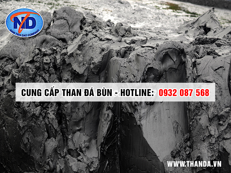 cung-cap-than-da-bun